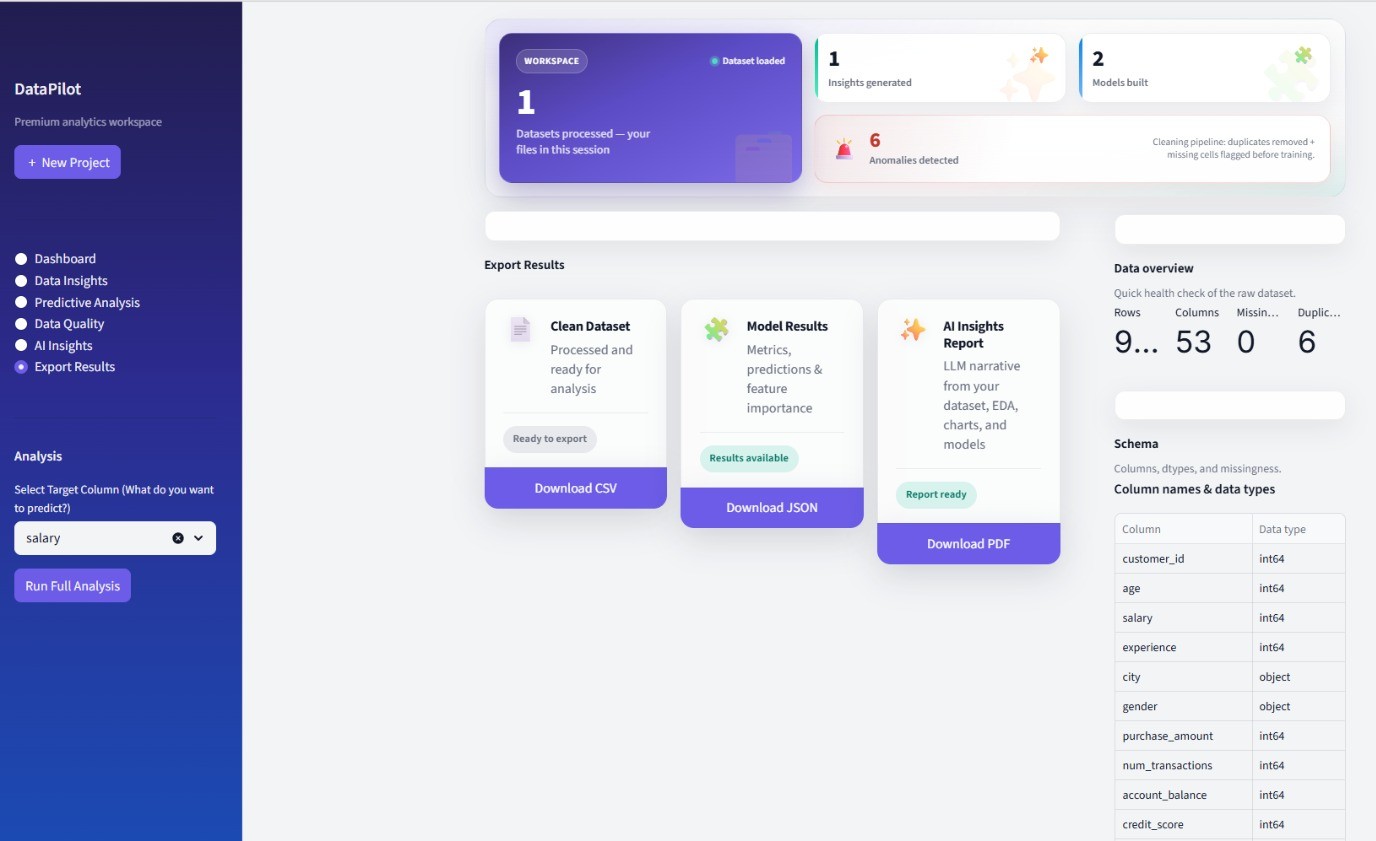 DataPilot analytics workspace: dashboard, export results, and data overview