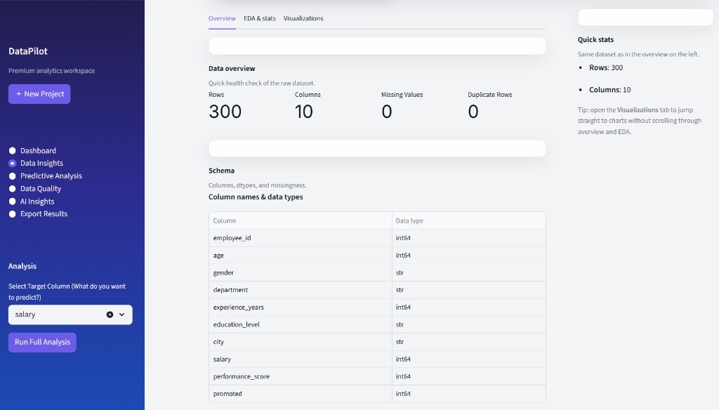 Data insights Overview tab with row counts, schema table, and quick stats